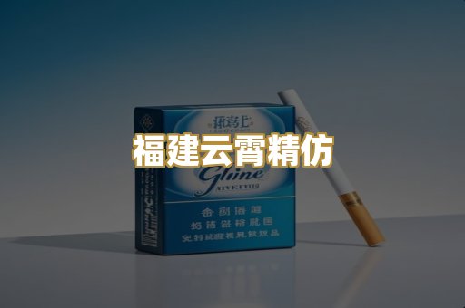 福建云霄精仿